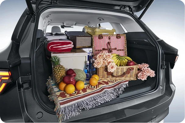 Maletero con canasta de picnic